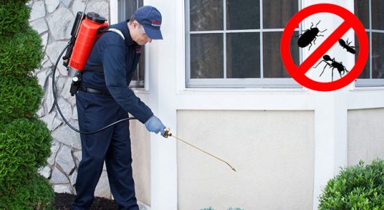 Digor Kemirgen İlaçlama böcek ilaçlama ve haşere kontrolü — ilaclama-tr.com